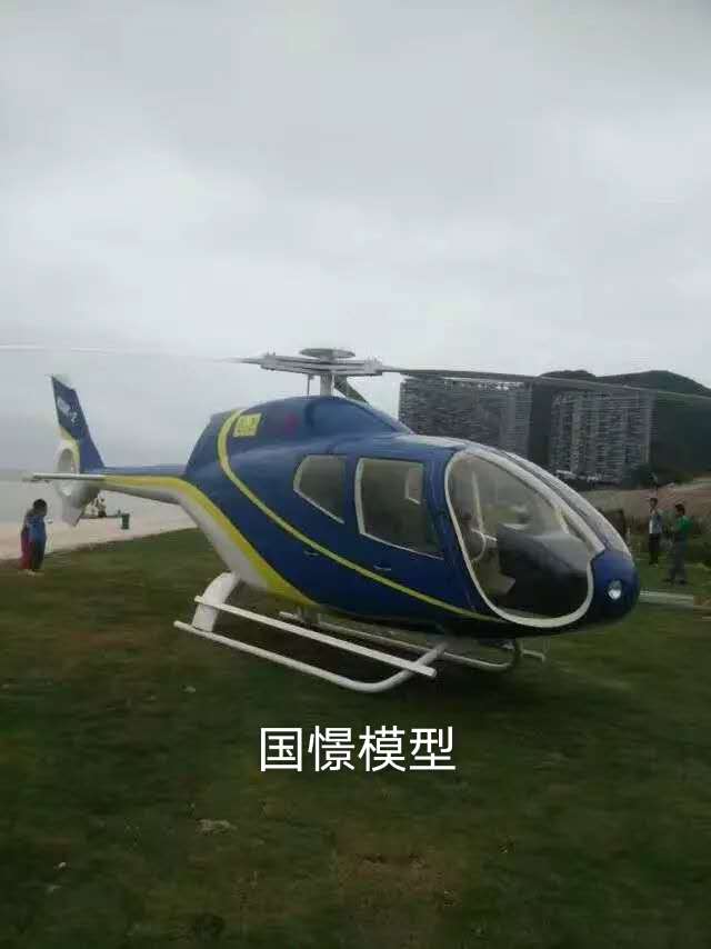 齐齐哈尔飞机模型
